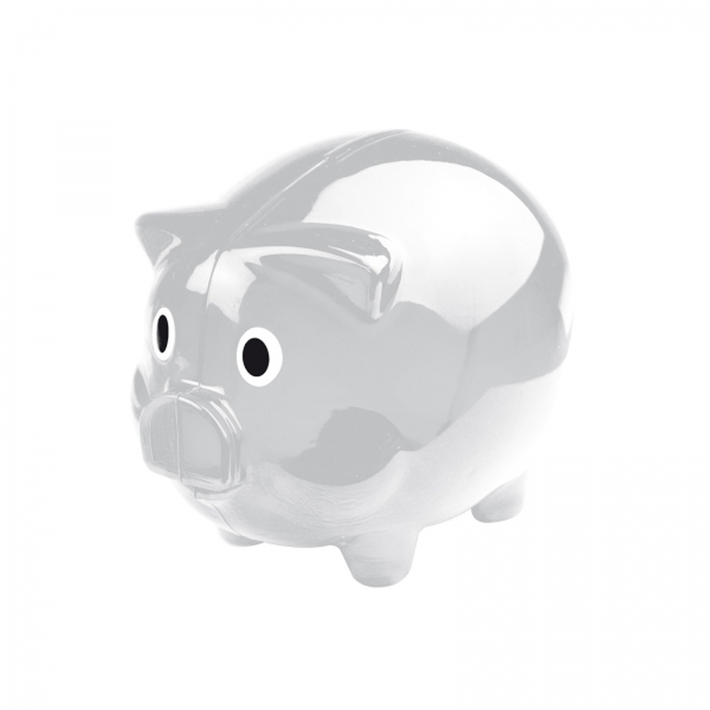 skarbonka-swinka-5623566